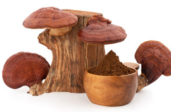 The Best Adaptogenic Mushrooms