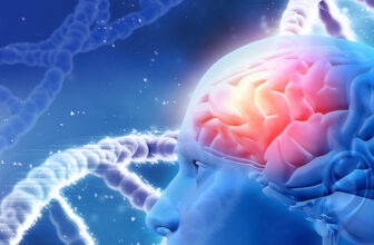 What is brain inflammation?